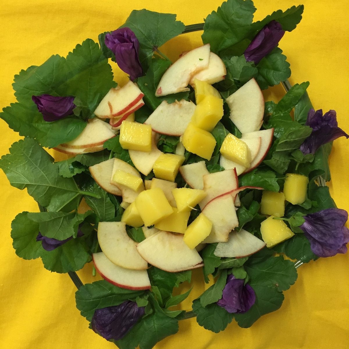 Malven und Malvenblüten mit geschnittenen Äpfel und Mango sowie Zitronenöl